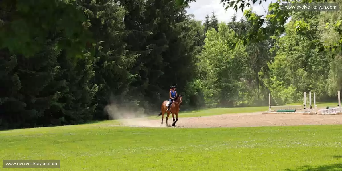 🚴骑行装备升级，征服每一公里！